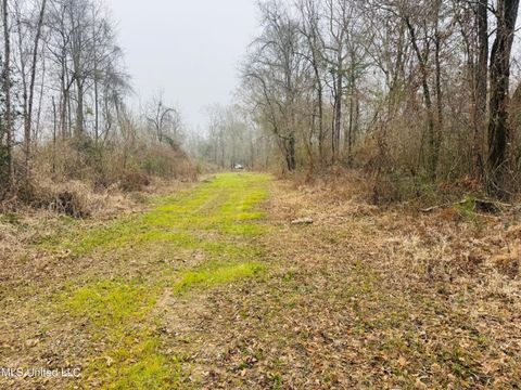 Vacant Land For Sale - 04 Sidney Ellzey Road<br/> Tylertown, MS 39667