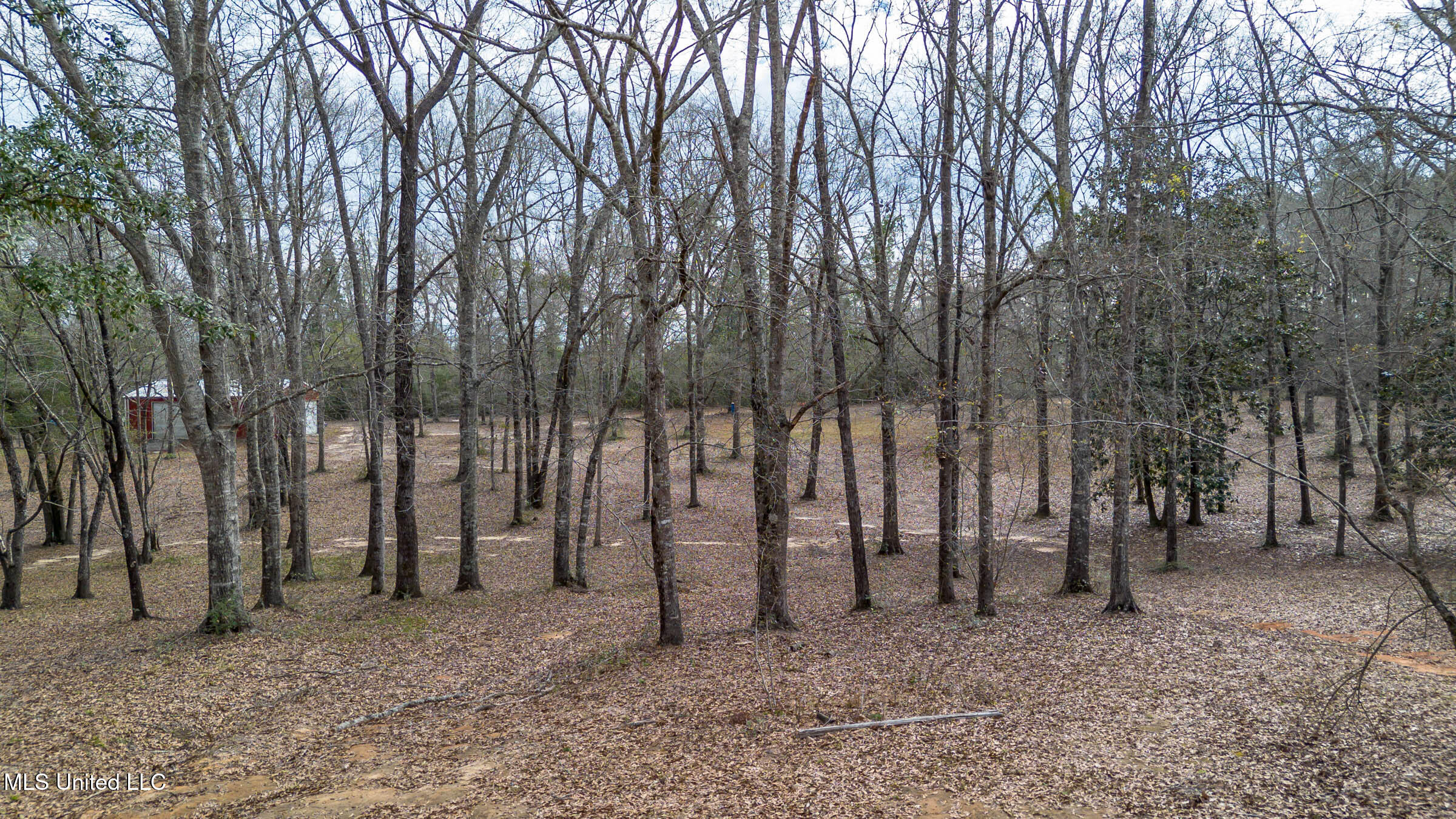 23512 Success Road, Saucier, Mississippi image 8
