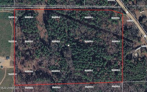 Vacant Land For Sale - Cooper Road<br/> Camden, MS 39045