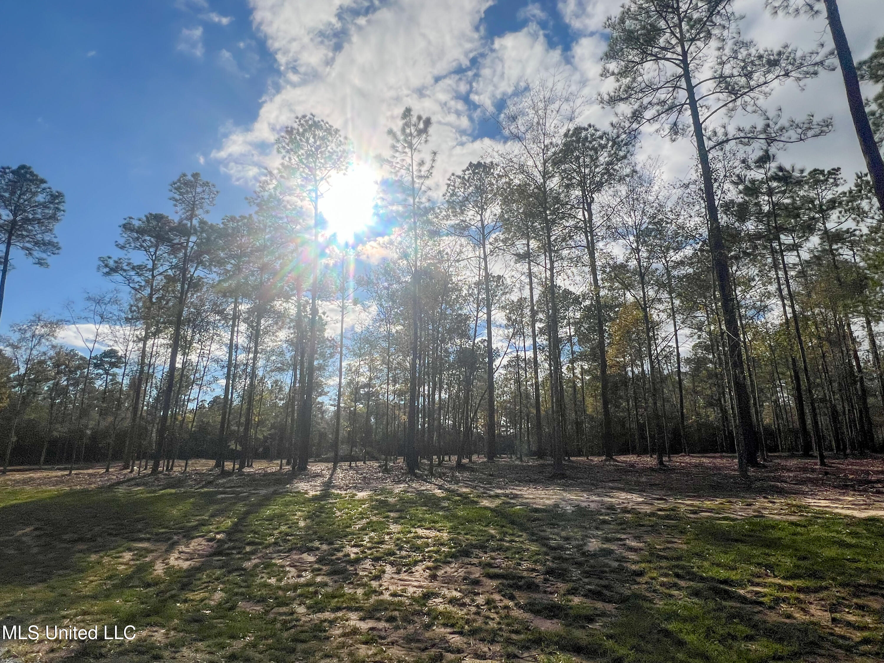 Lot 4 Pine Ridge Lane, Lucedale, Mississippi image 18