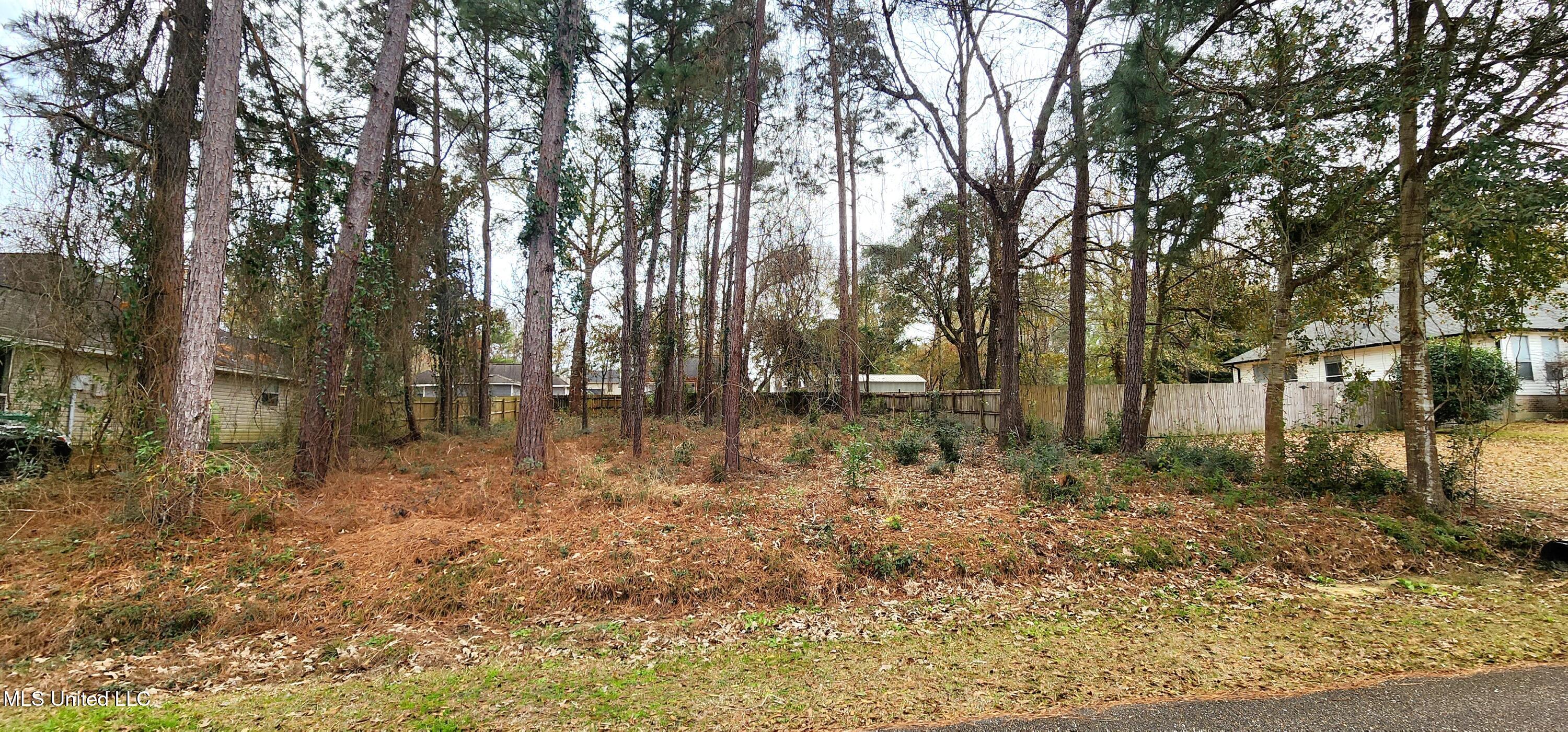 Lot 17 Kahana Street, Diamondhead, Mississippi image 2