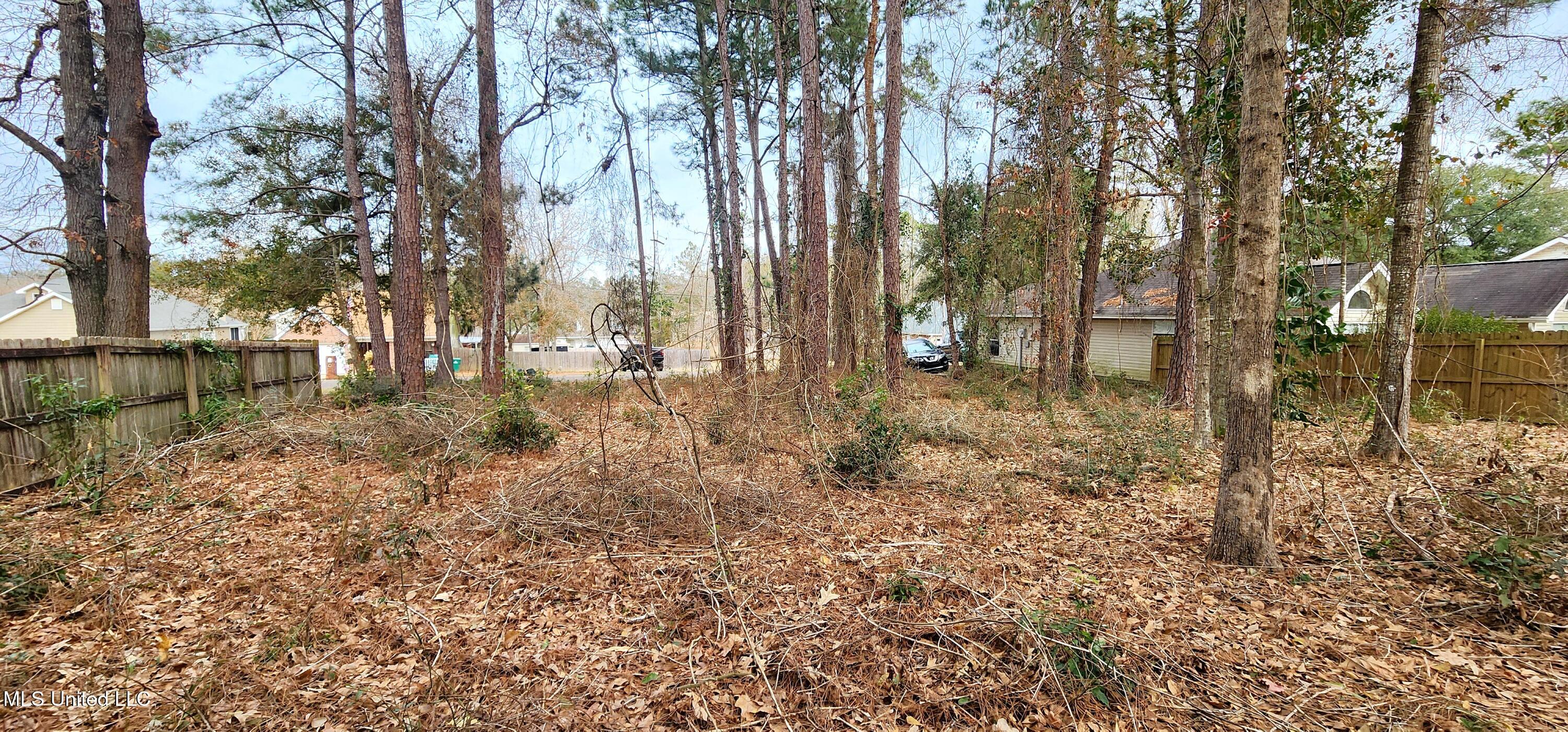 Lot 17 Kahana Street, Diamondhead, Mississippi image 5