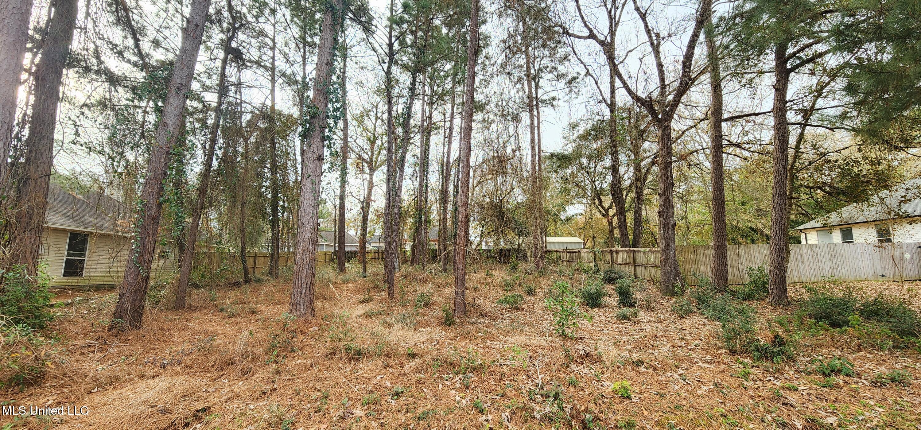 Lot 17 Kahana Street, Diamondhead, Mississippi image 1