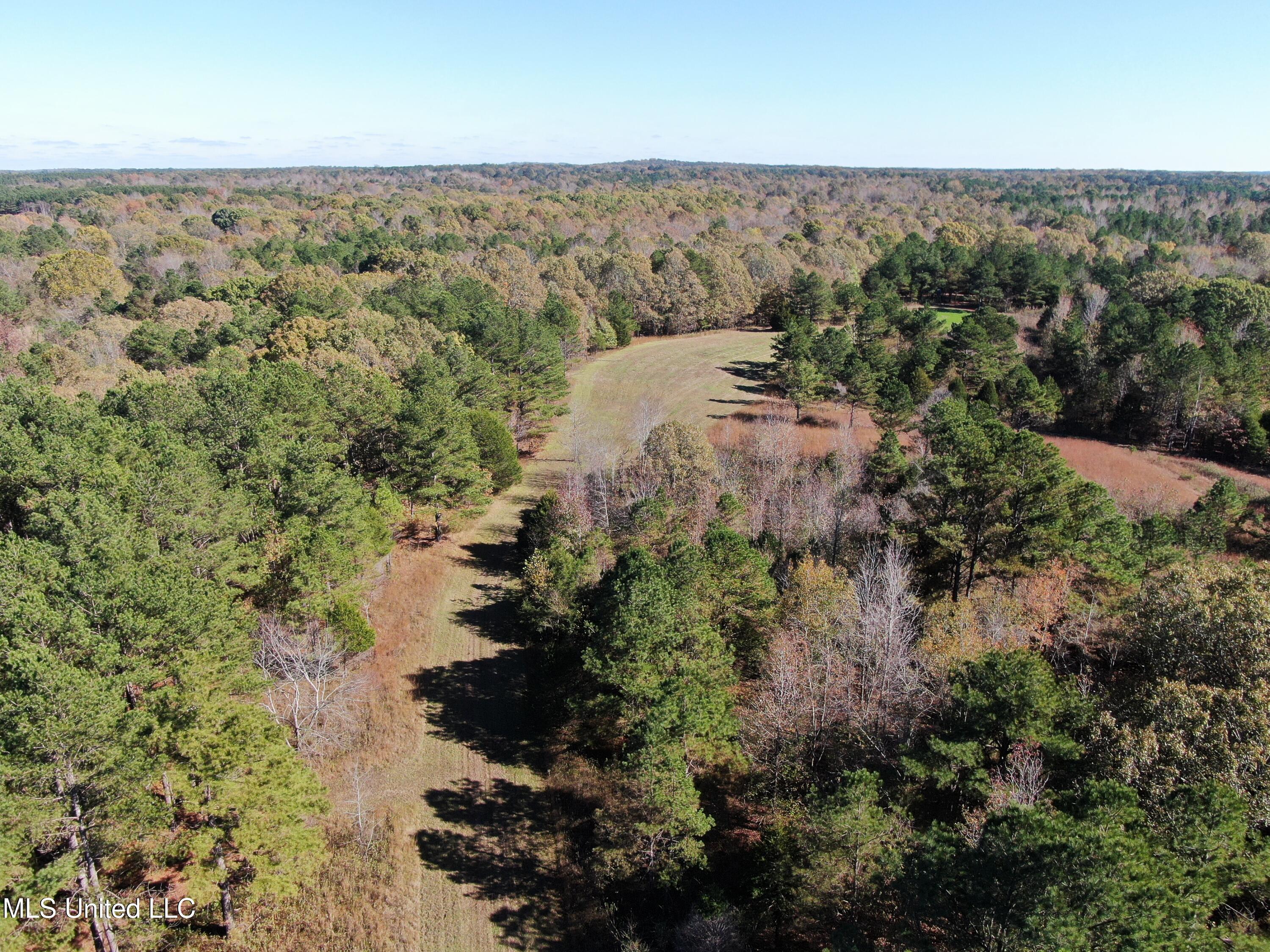 1570 Pottery Road, Michigan City, Mississippi image 3