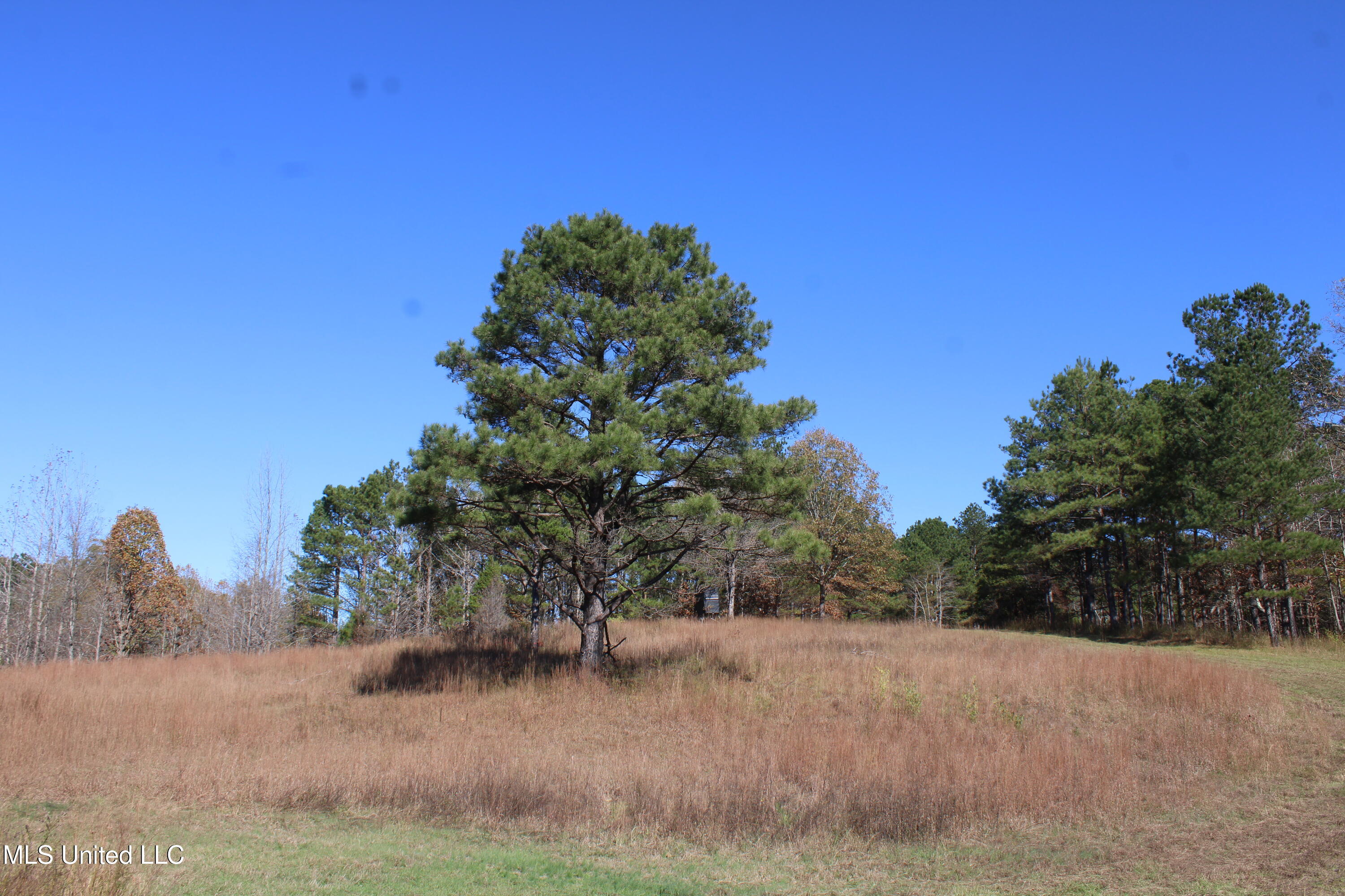 1570 Pottery Road, Michigan City, Mississippi image 38