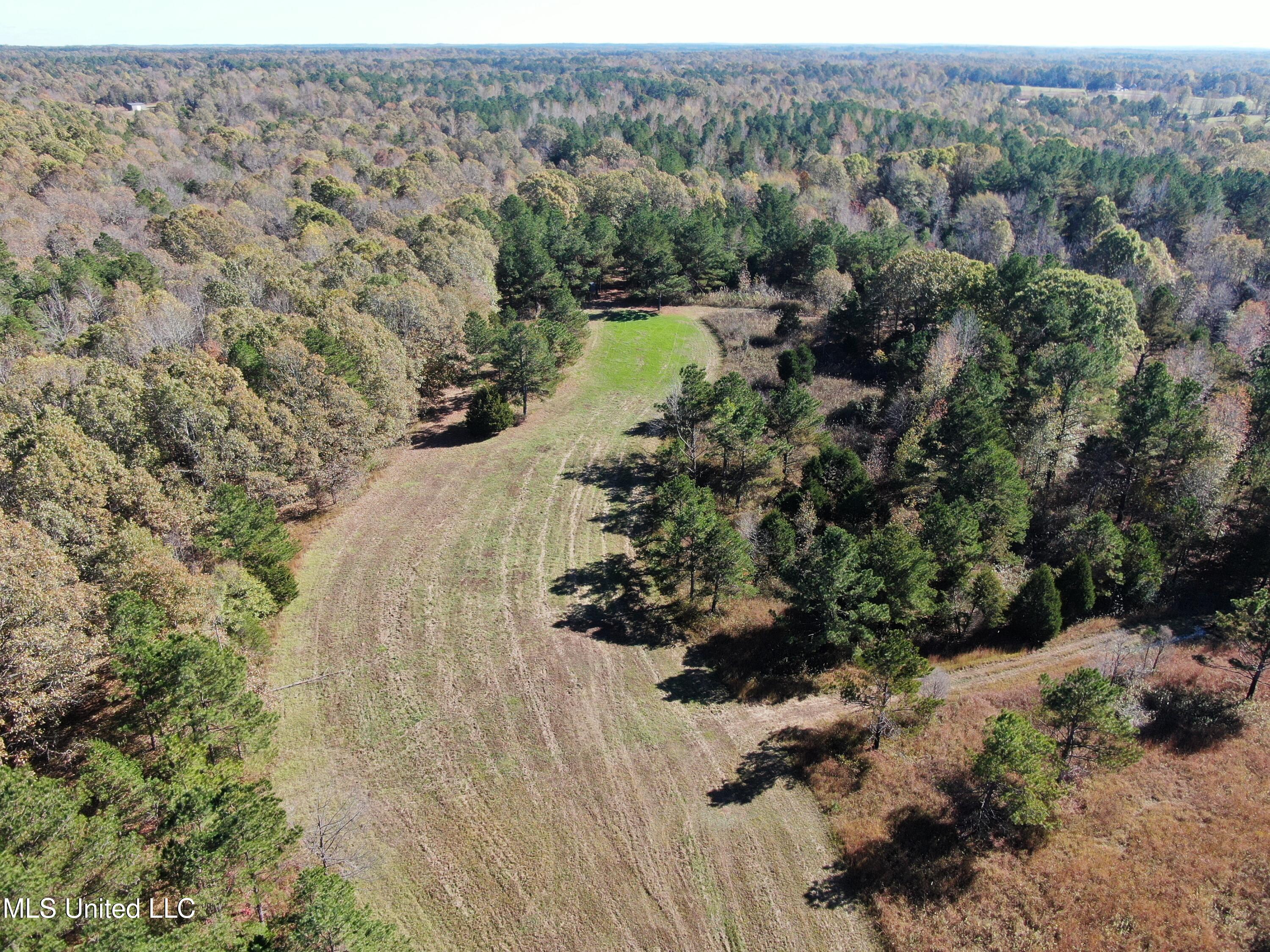 1570 Pottery Road, Michigan City, Mississippi image 4