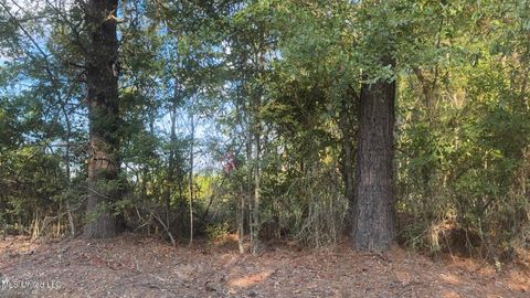 Vacant Land For Sale - Attala Road 4041 Road<br/> Kosciusko, MS 39090