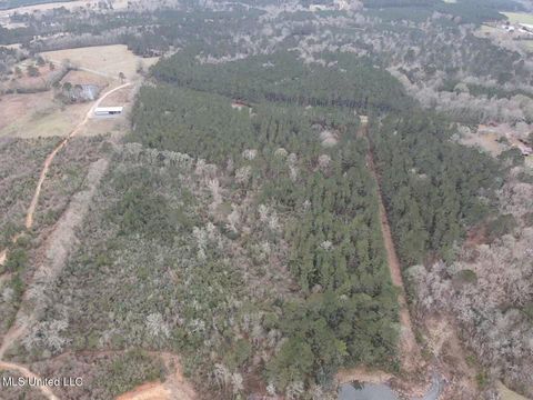 Vacant Land For Sale - Magnolia Progress Road<br/> Pike County, Magnolia, MS 39652