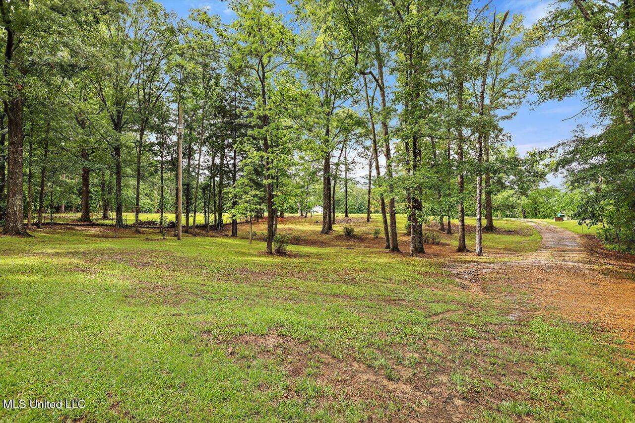 1554 Orchard Wood Road, Terry, Mississippi image 32