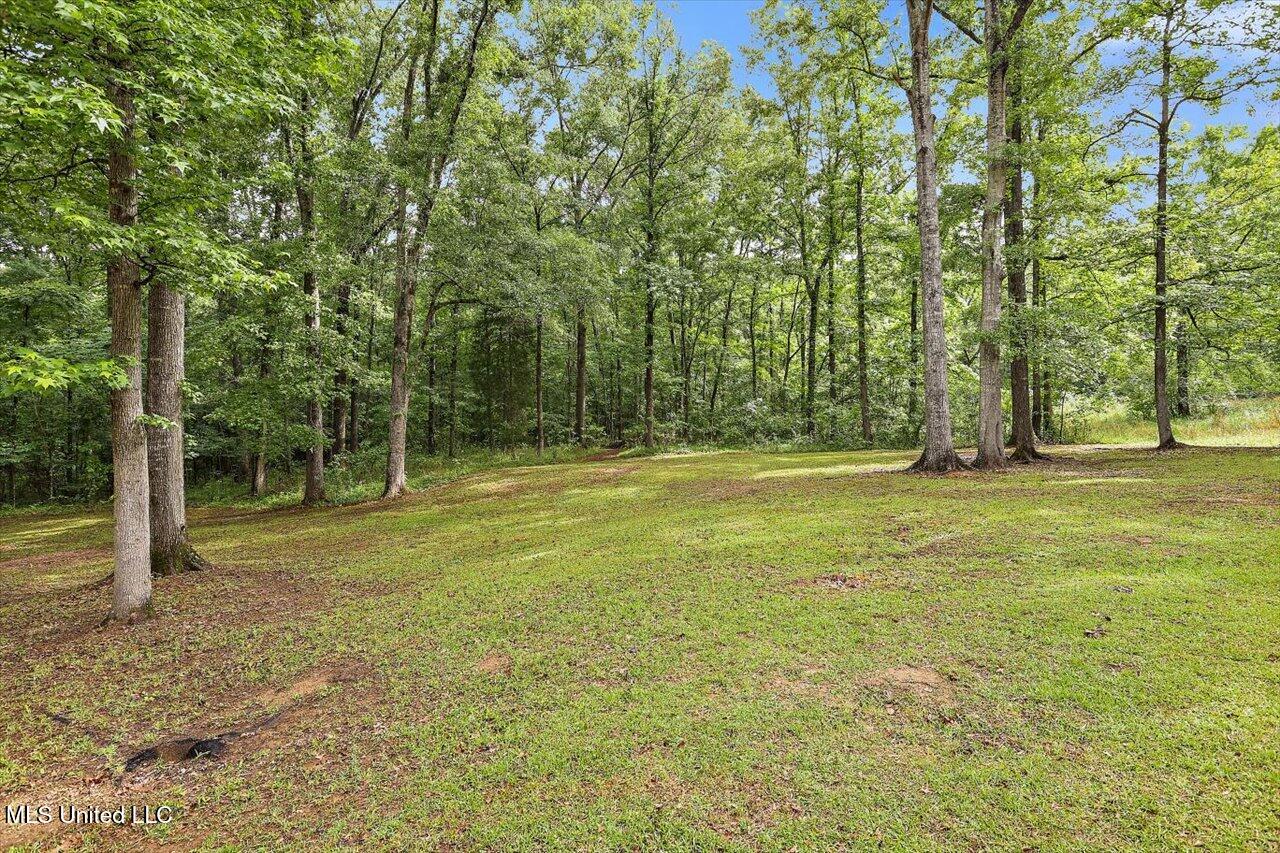 1554 Orchard Wood Road, Terry, Mississippi image 31