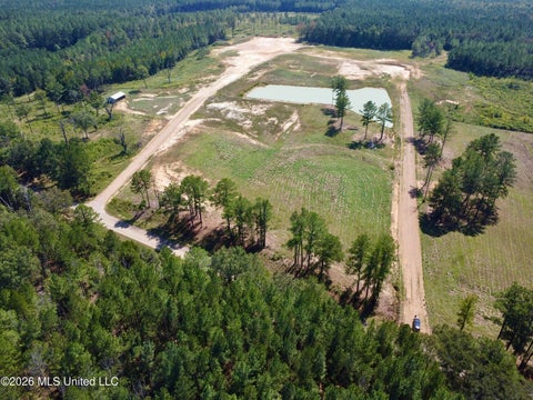 Vacant Land For Sale - Sulphur Springs Road<br/> Madison County, Canton, MS 39046