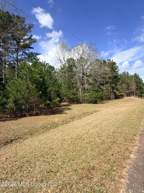 Vacant Land For Sale - TBD Park Place<br/> Pike County, McComb, MS 39648