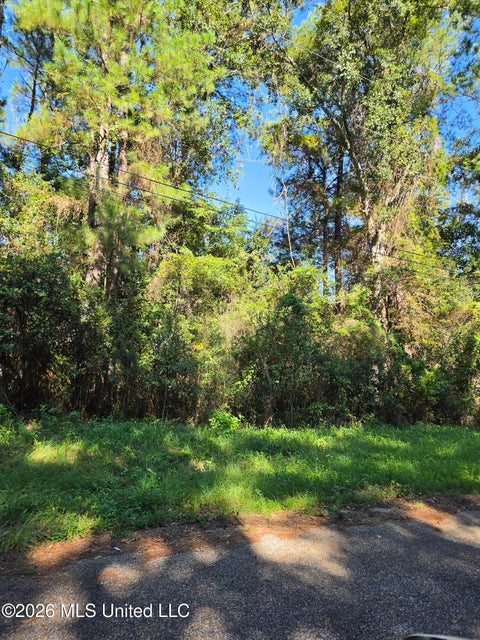 Vacant Land For Sale - Marlin Cove<br/> Gautier, MS 39553