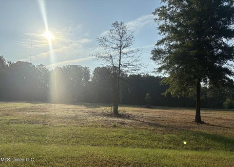 Vacant Land For Sale - 00 Shire Avenue<br/> Forest, MS 39074