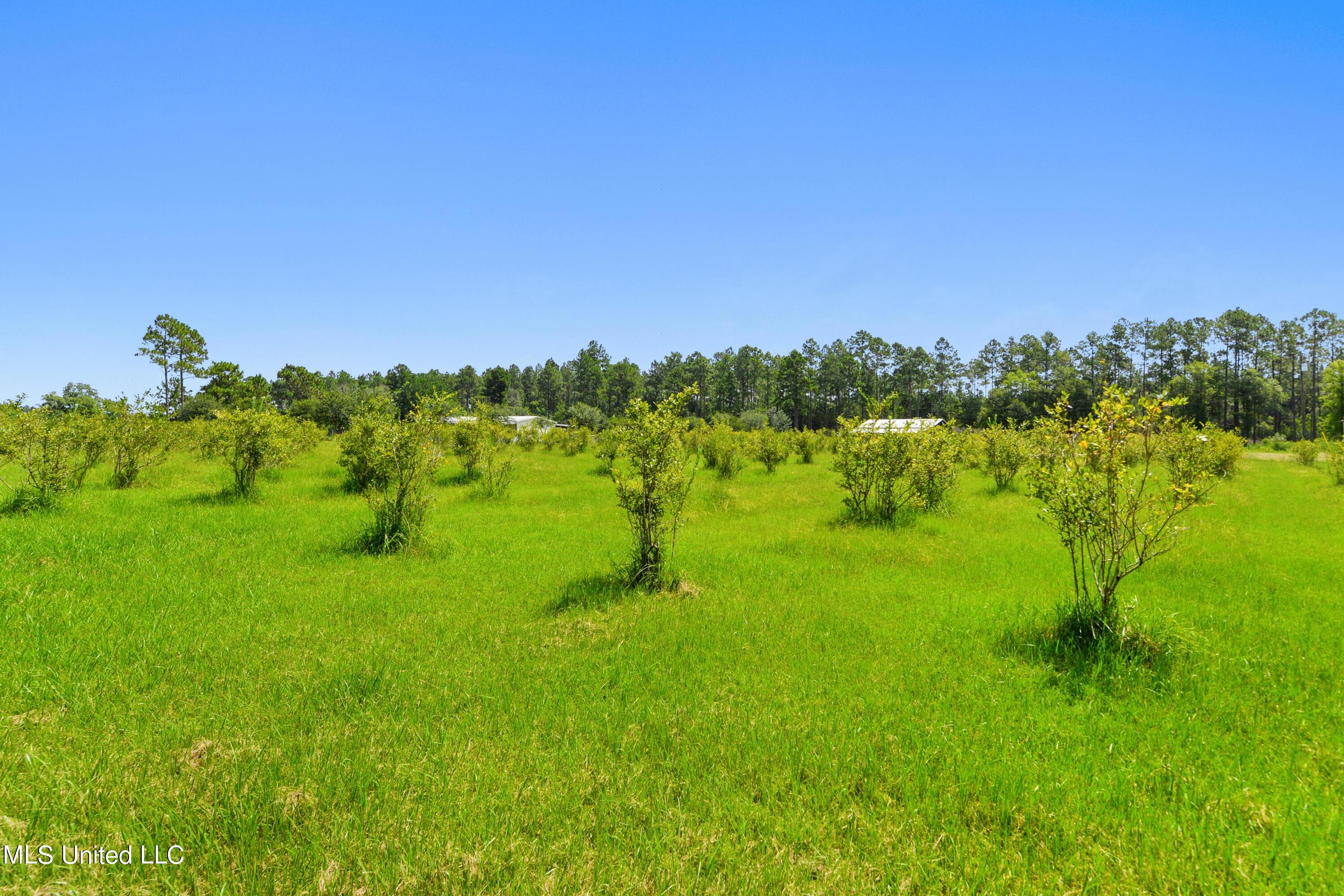 18009 Rayford Shumock Road, Moss Point, Mississippi image 25