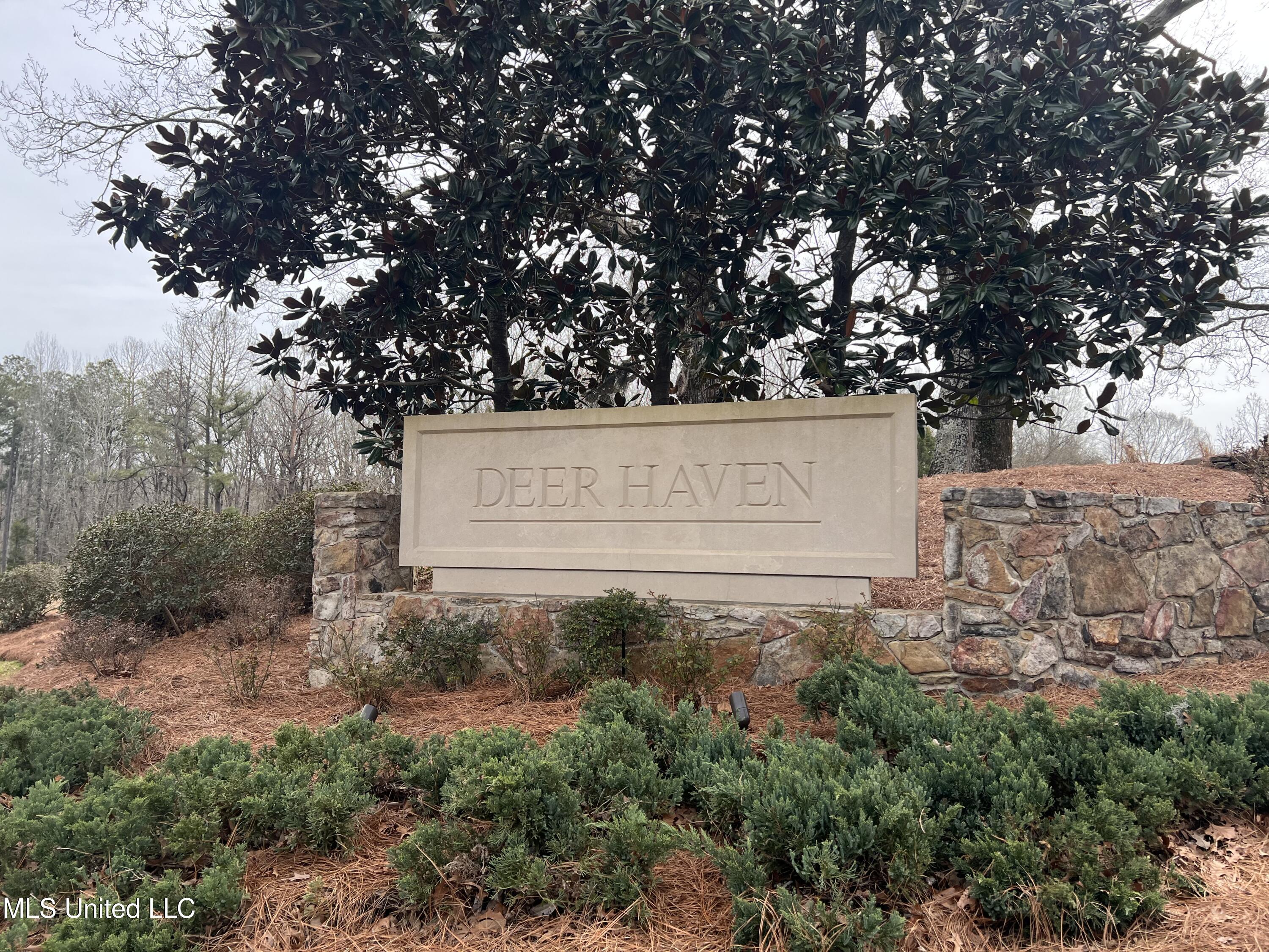 110 Deer Haven Drive, Madison, Mississippi image 1