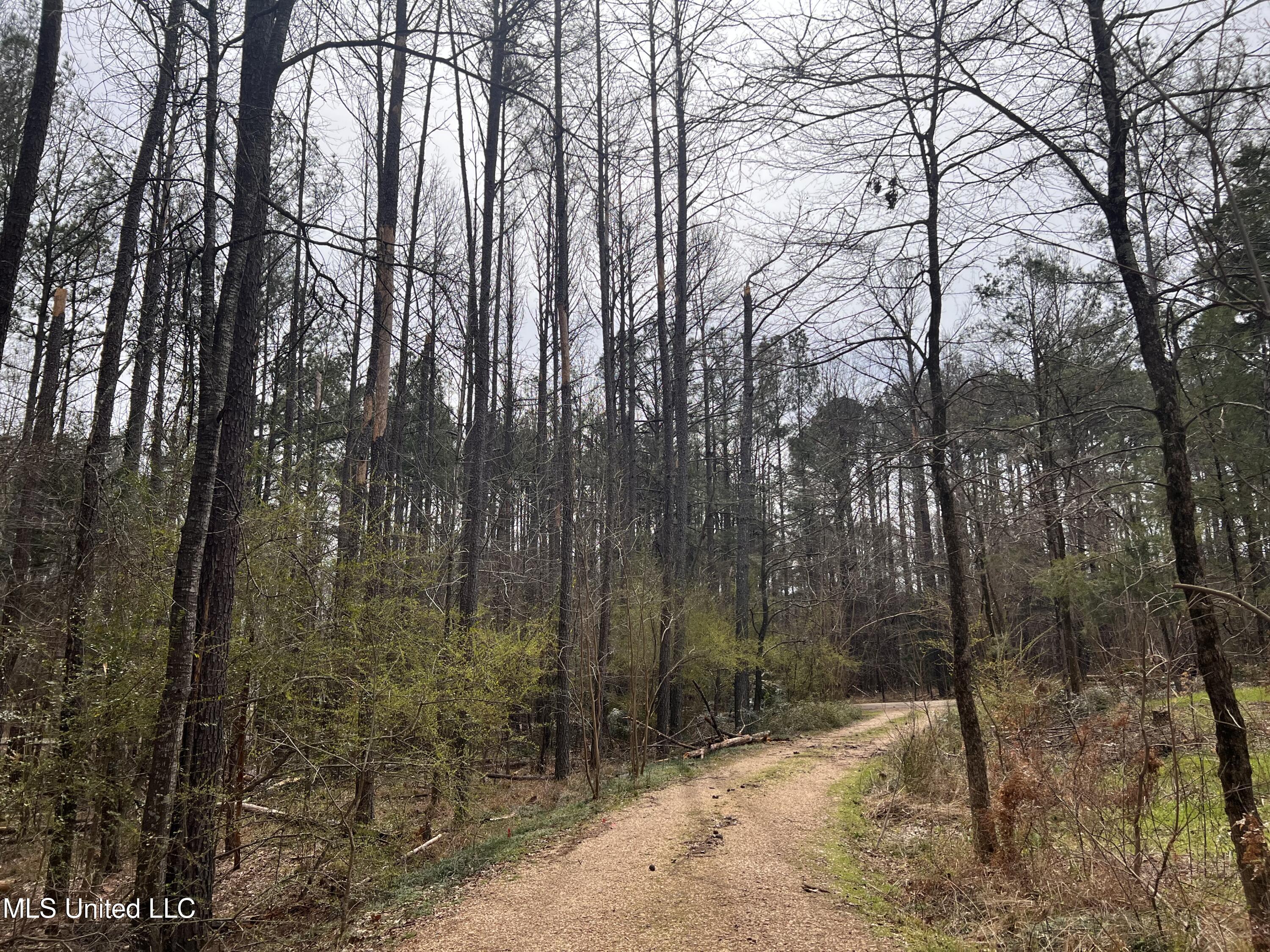 110 Deer Haven Drive, Madison, Mississippi image 7