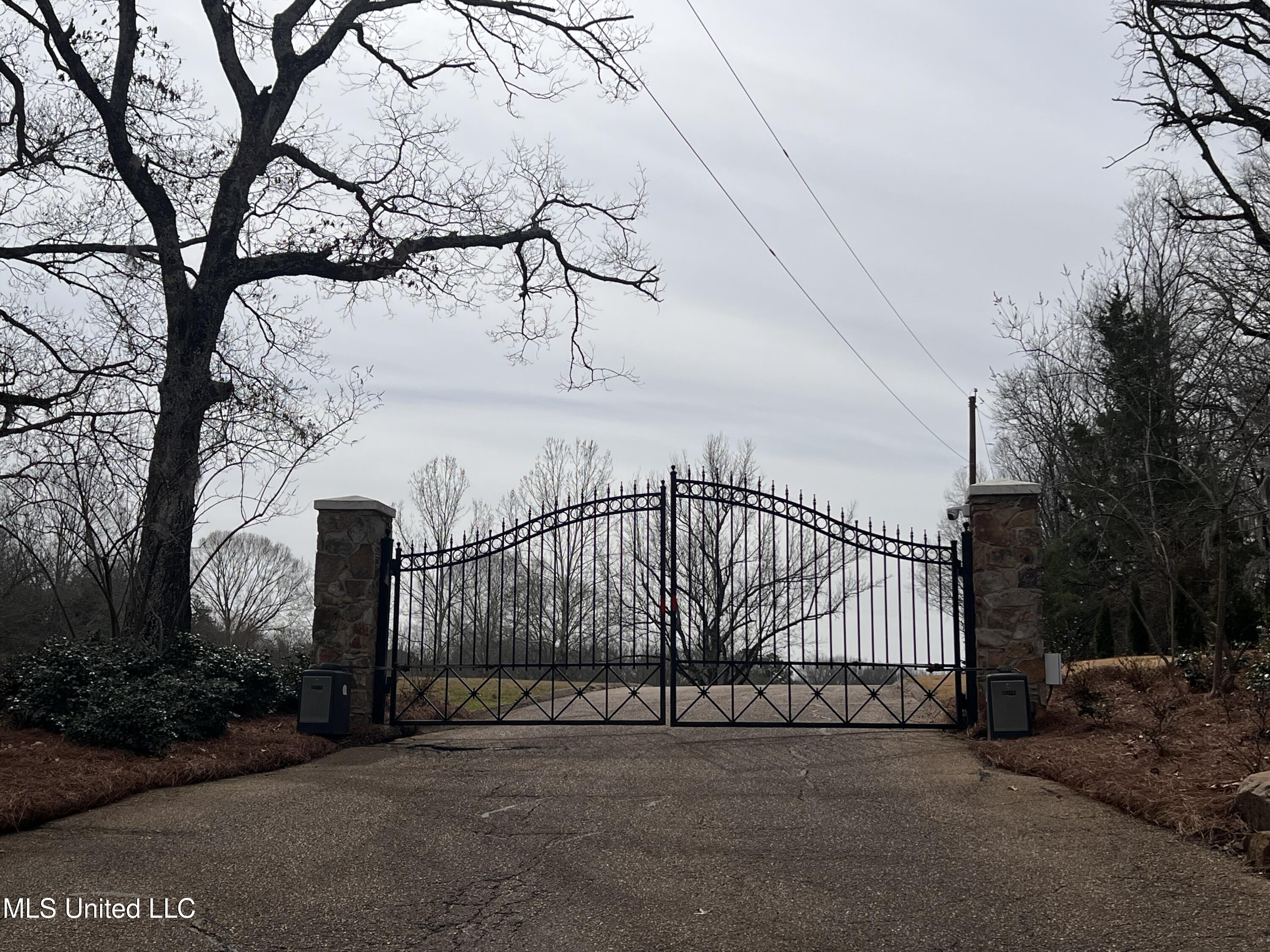110 Deer Haven Drive, Madison, Mississippi image 3