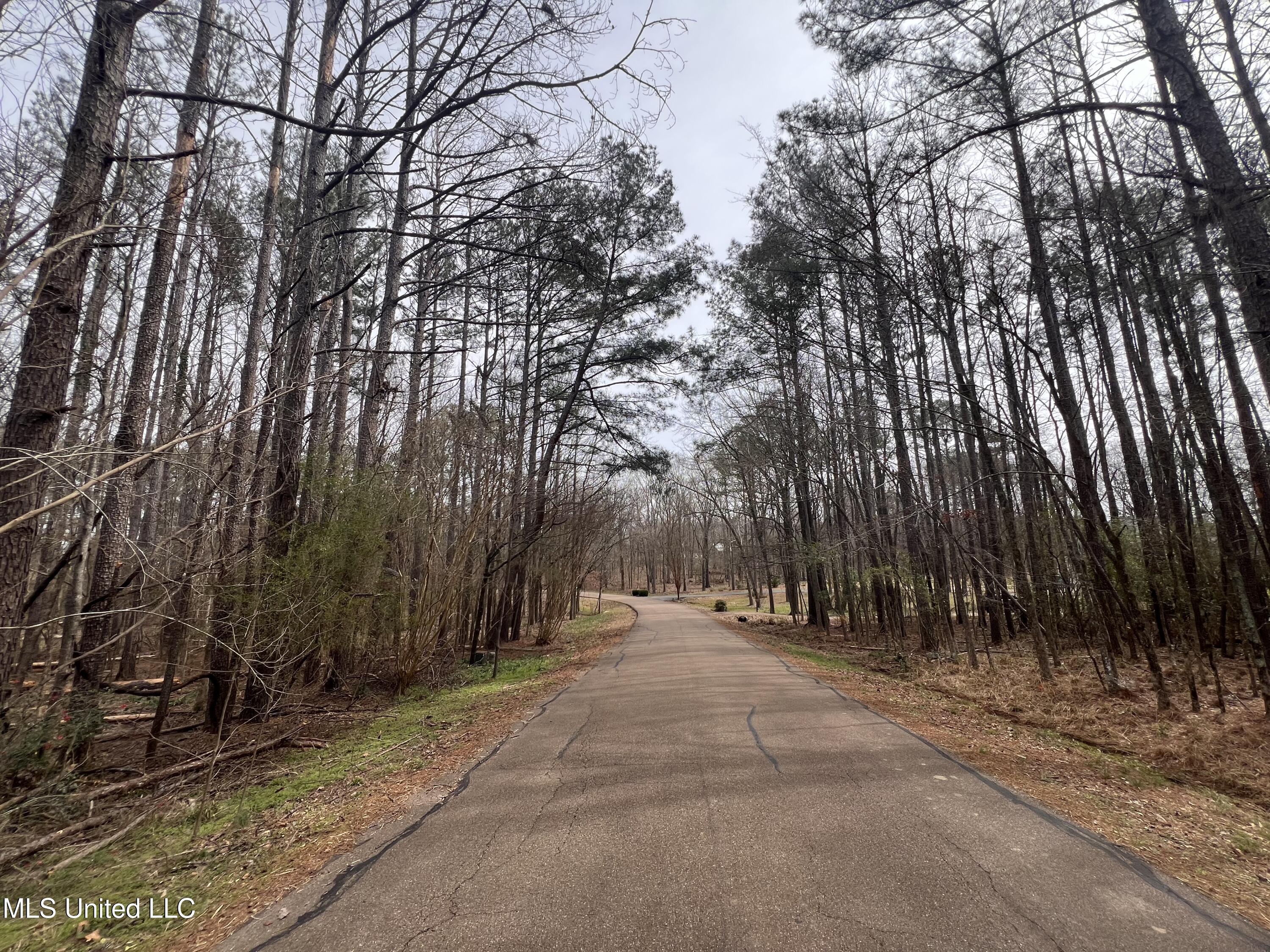 110 Deer Haven Drive, Madison, Mississippi image 11