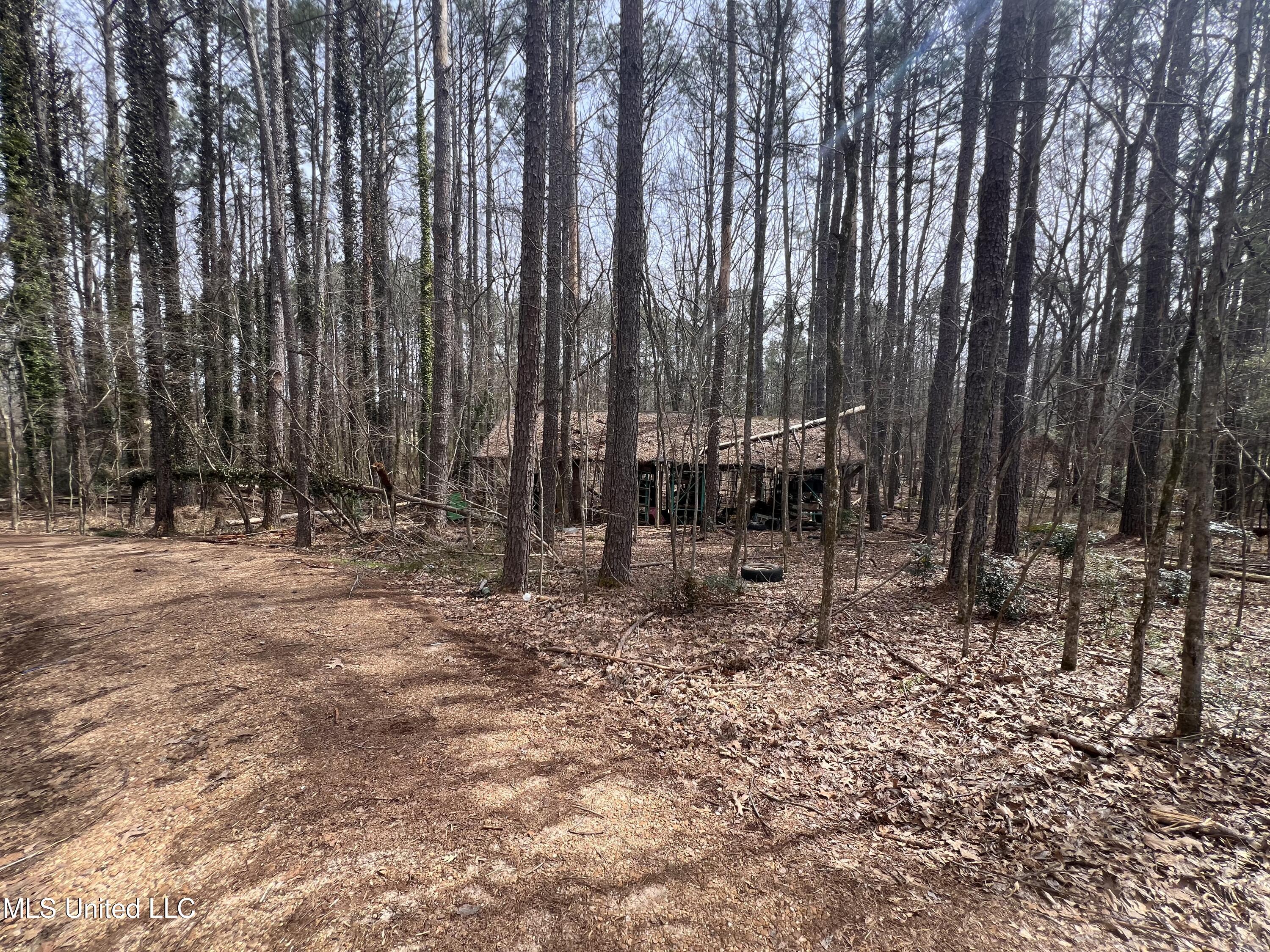 110 Deer Haven Drive, Madison, Mississippi image 6