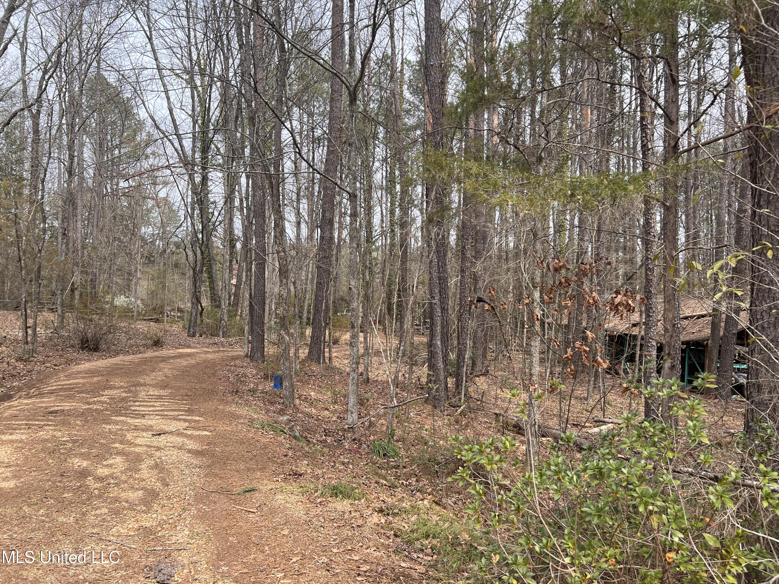 110 Deer Haven Drive, Madison, Mississippi image 8