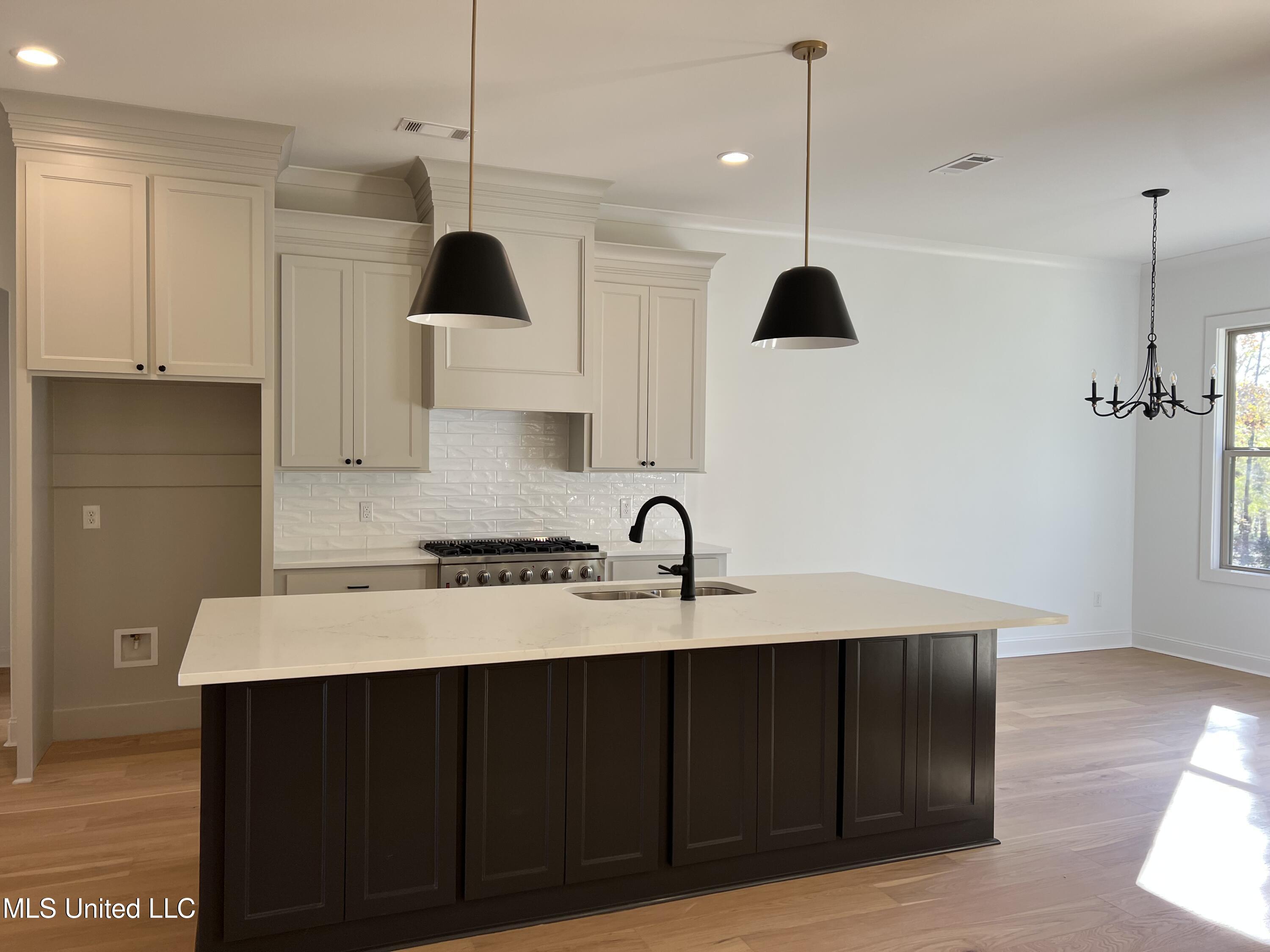 318 Celadon Way, Brandon, Mississippi image 3