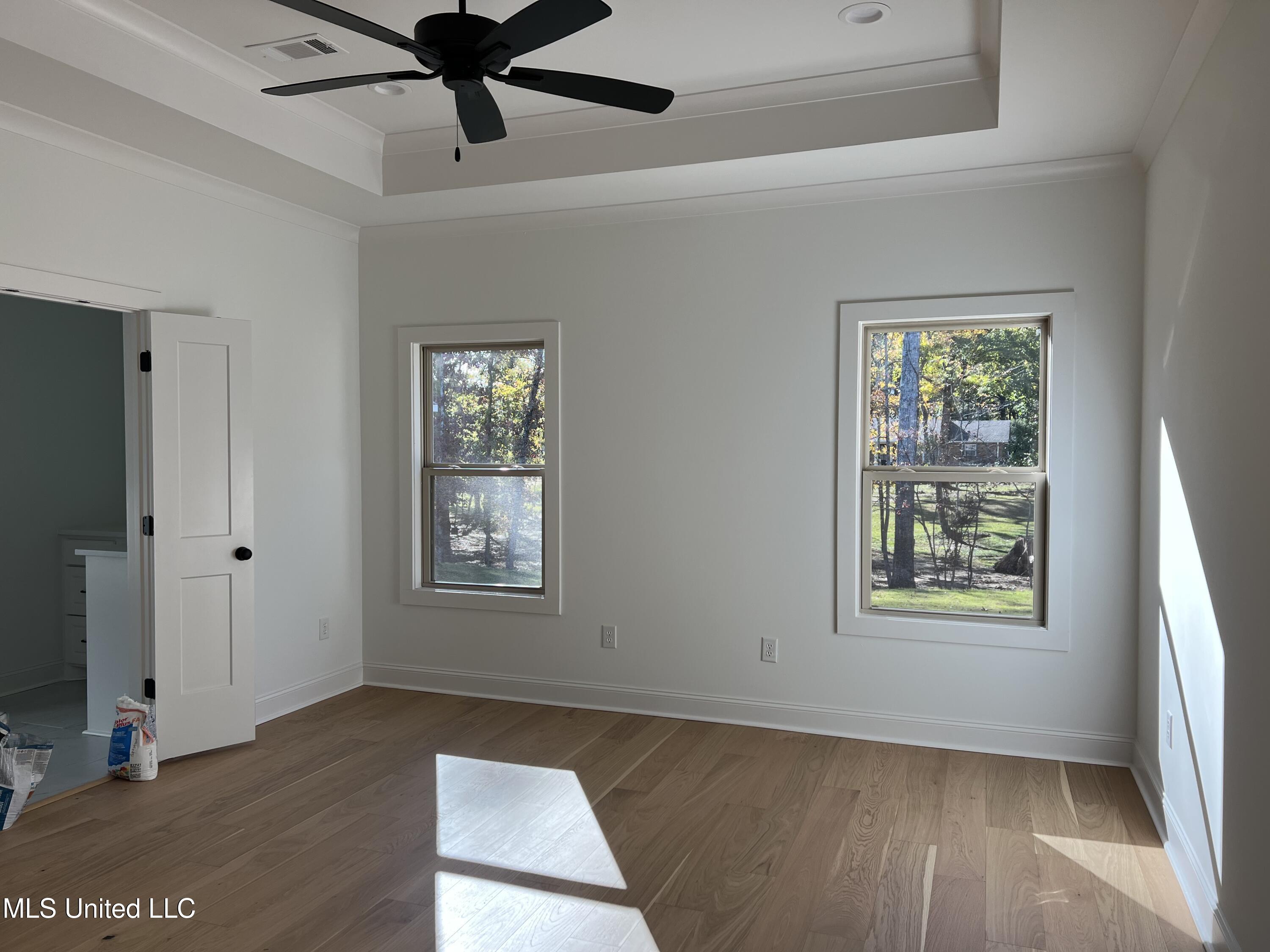 318 Celadon Way, Brandon, Mississippi image 4