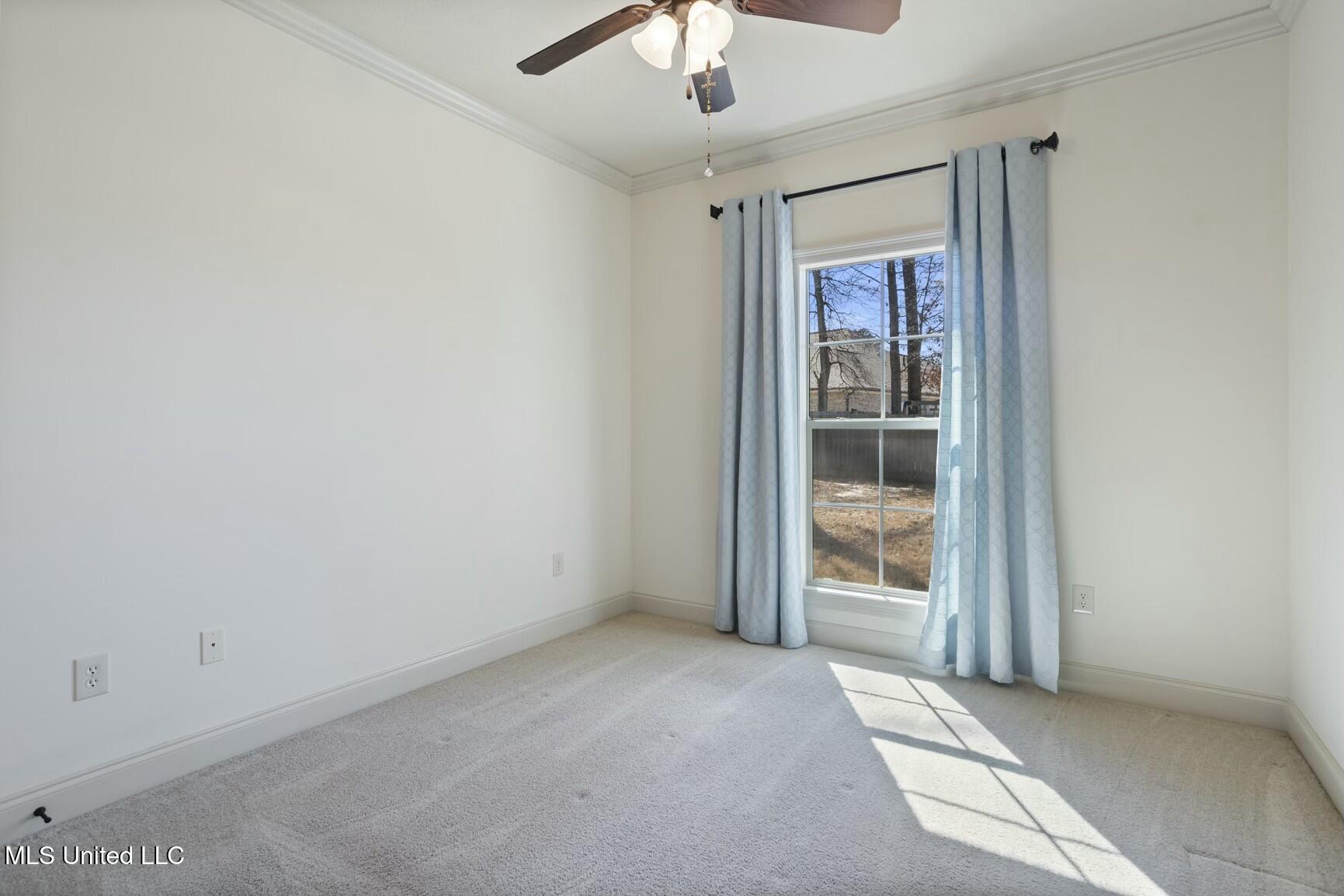 136 Winchester Cove, Madison, Mississippi image 22