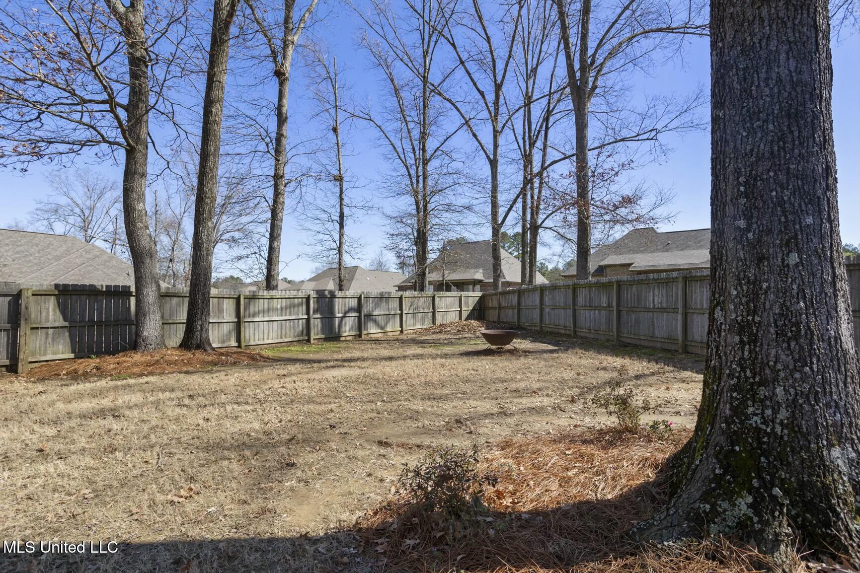 136 Winchester Cove, Madison, Mississippi image 28