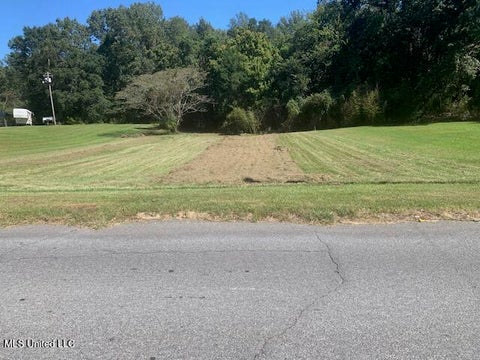 Vacant Land For Sale - 104 Briarwood Road<br/> Natchez, MS 39120
