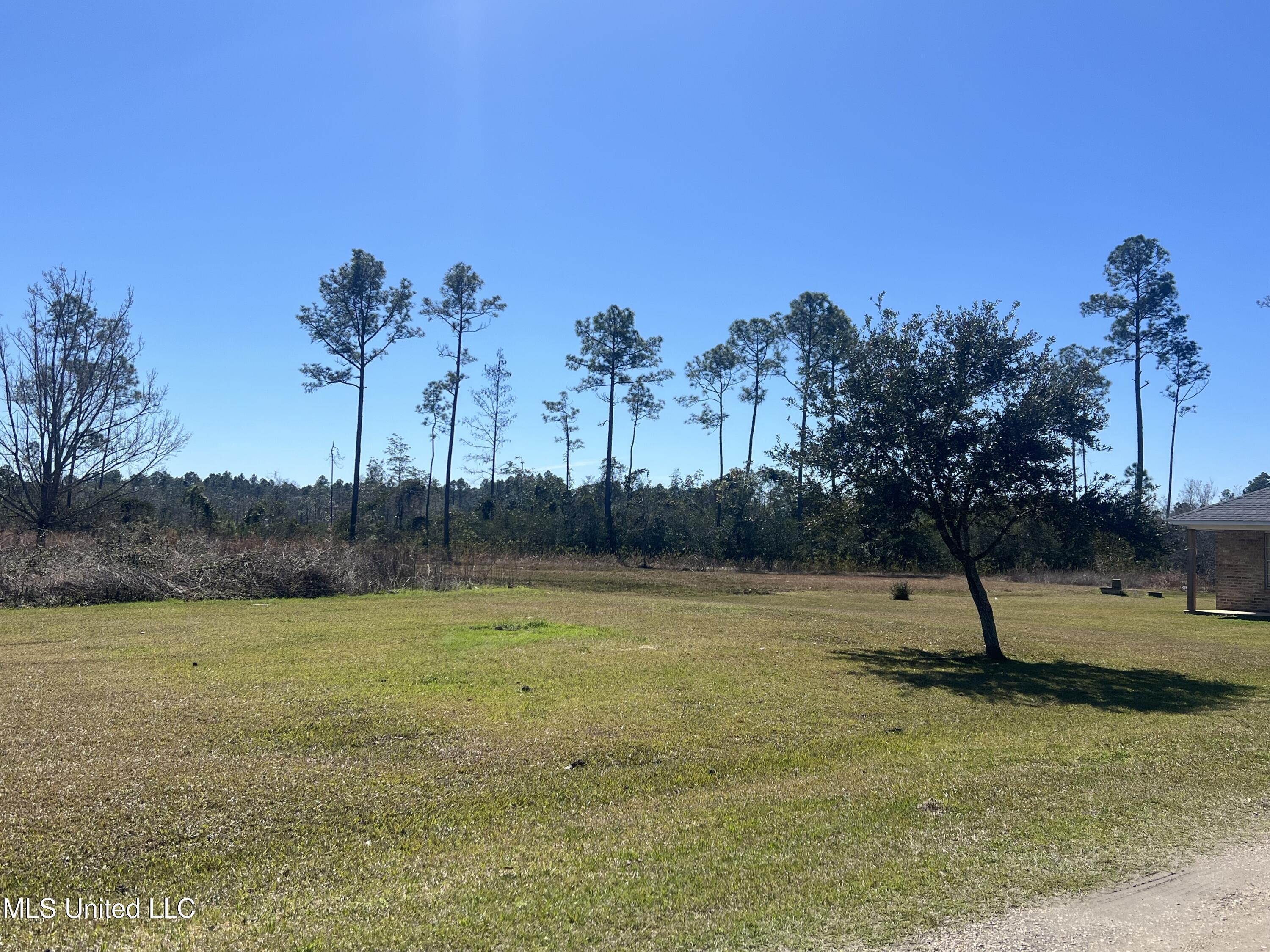 4400 Sammie Hearndon Road, Moss Point, Mississippi image 31