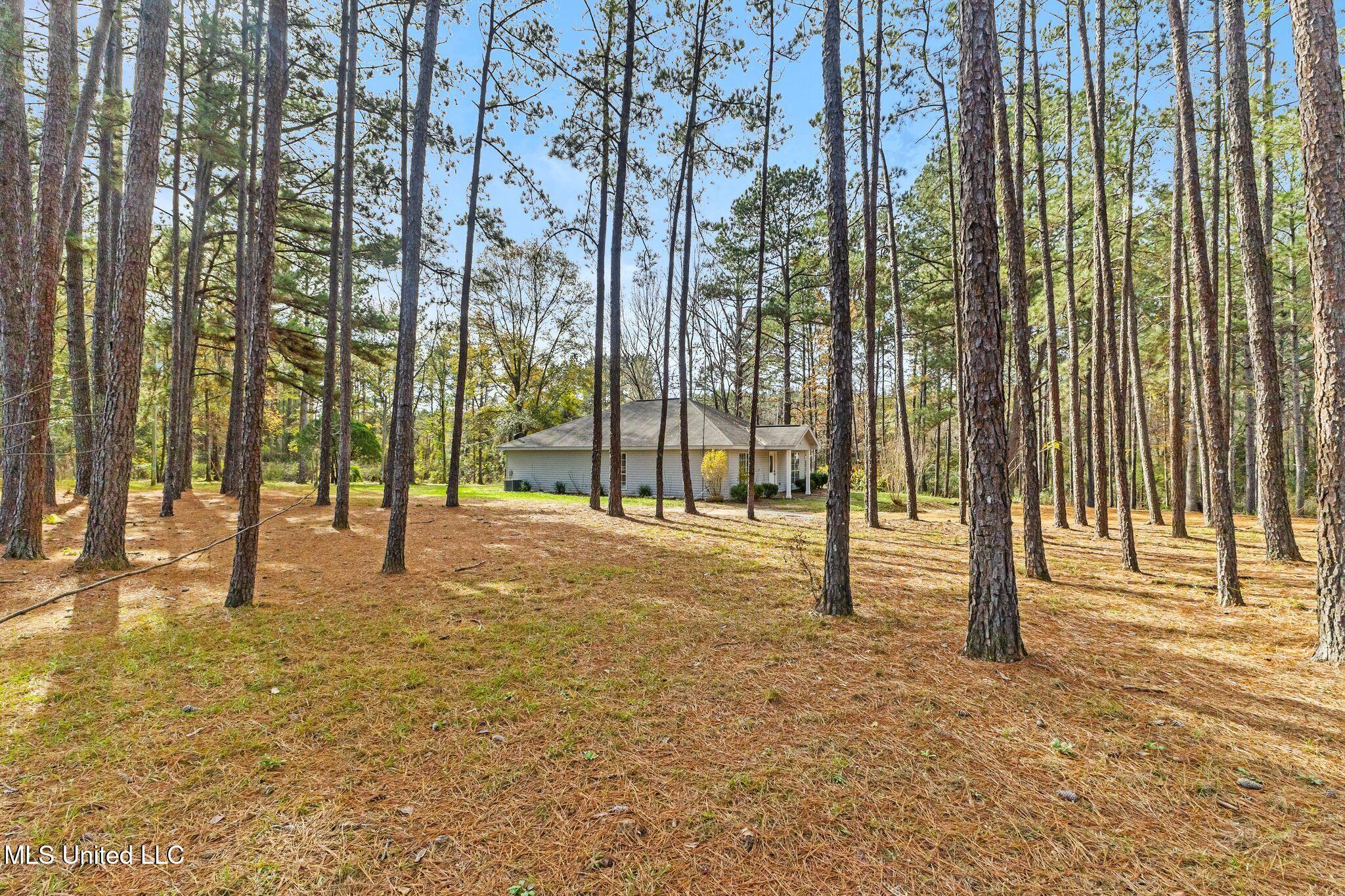 119 Sumrall Road, Sumrall, Mississippi image 18