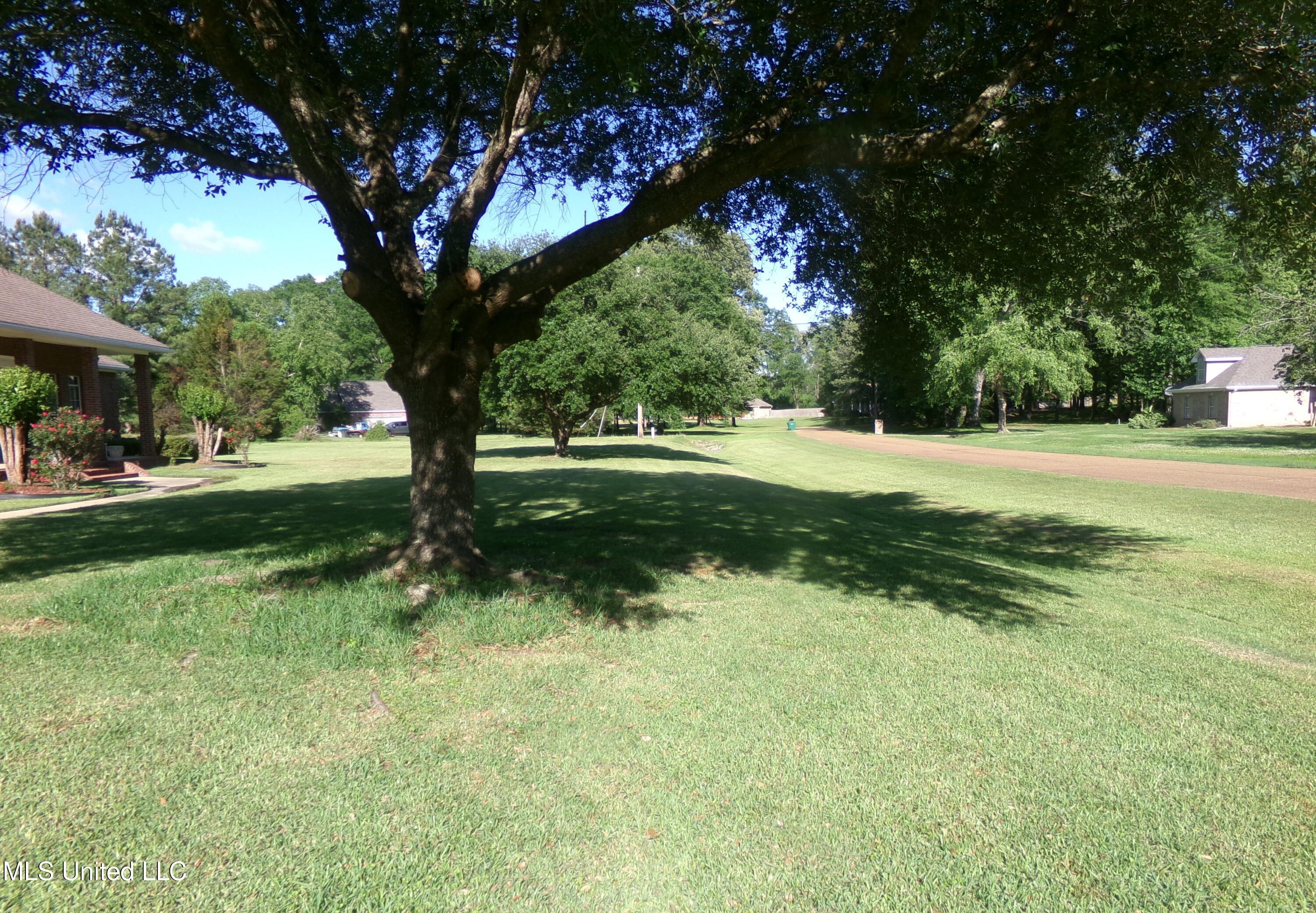 1215 Parks Place, Byram, Mississippi image 3