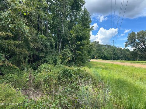 Vacant Land For Sale - 550<br/> Jefferson County, Union Church, MS 39668