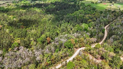 Vacant Land For Sale - Pete Dixon Road<br/> Lucedale, MS 39452