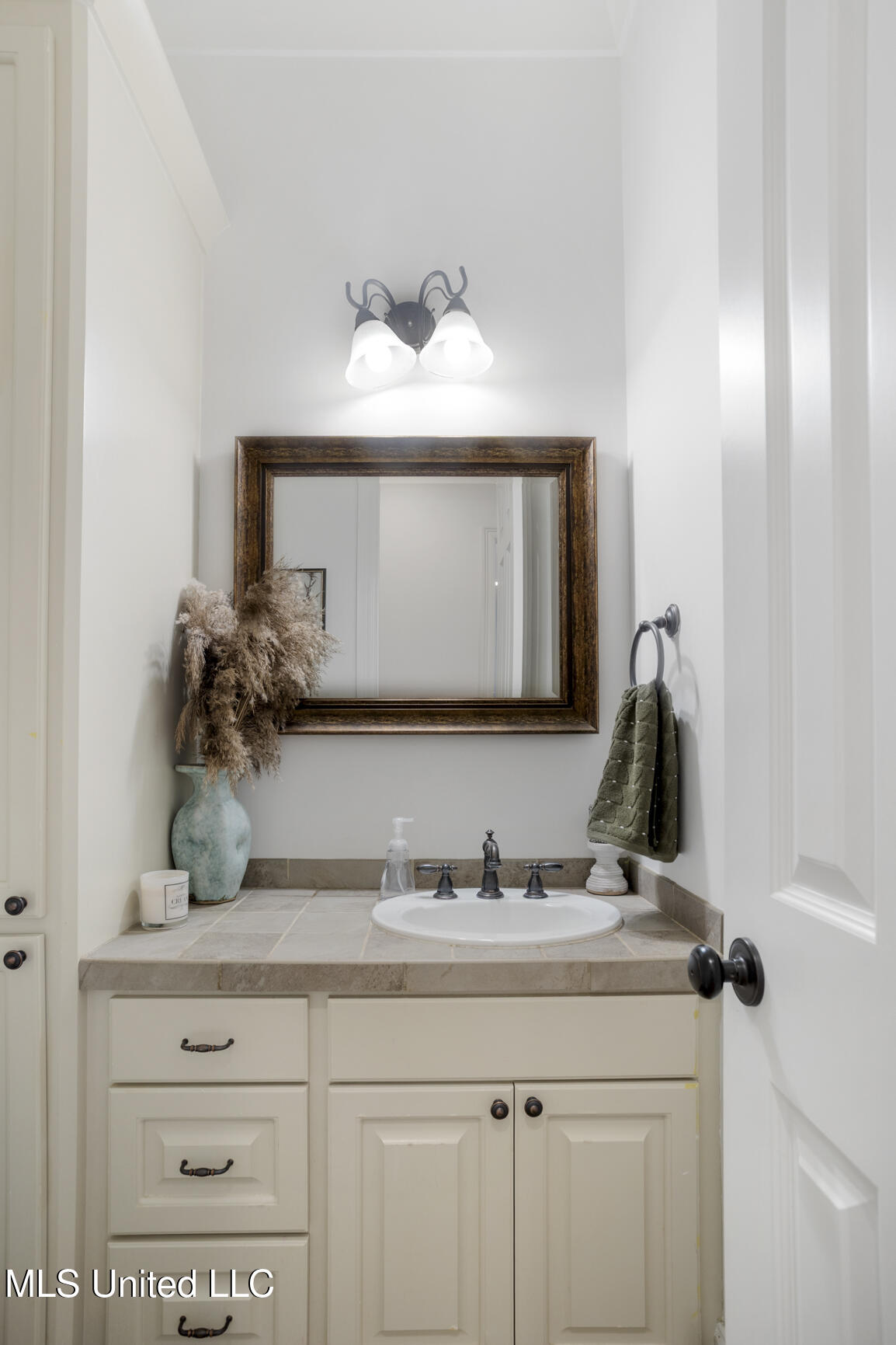 237 Hoy Farms Drive, Madison, Mississippi image 24