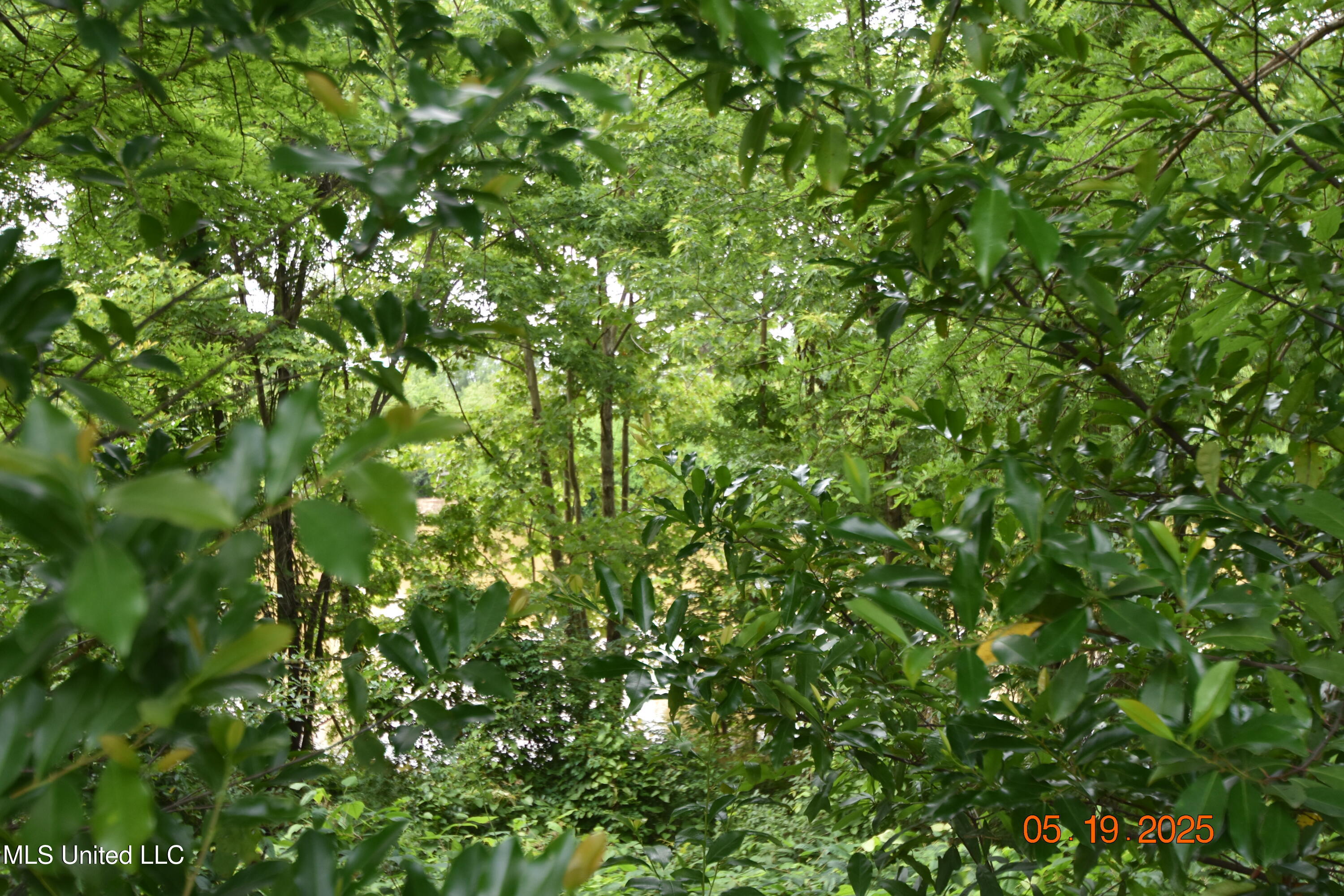 1303 River Road, Greenwood, Mississippi image 31