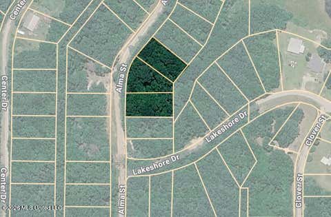 Vacant Land For Sale - 00 Alma Street<br/> Pearl River County, Lumberton, MS 39455