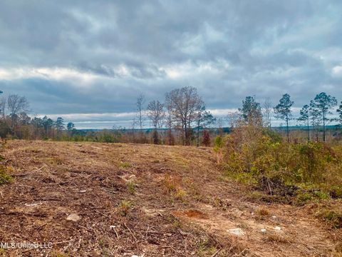 Homes For Sale - Saint Anne Road<br/> Carthage, MS 39051