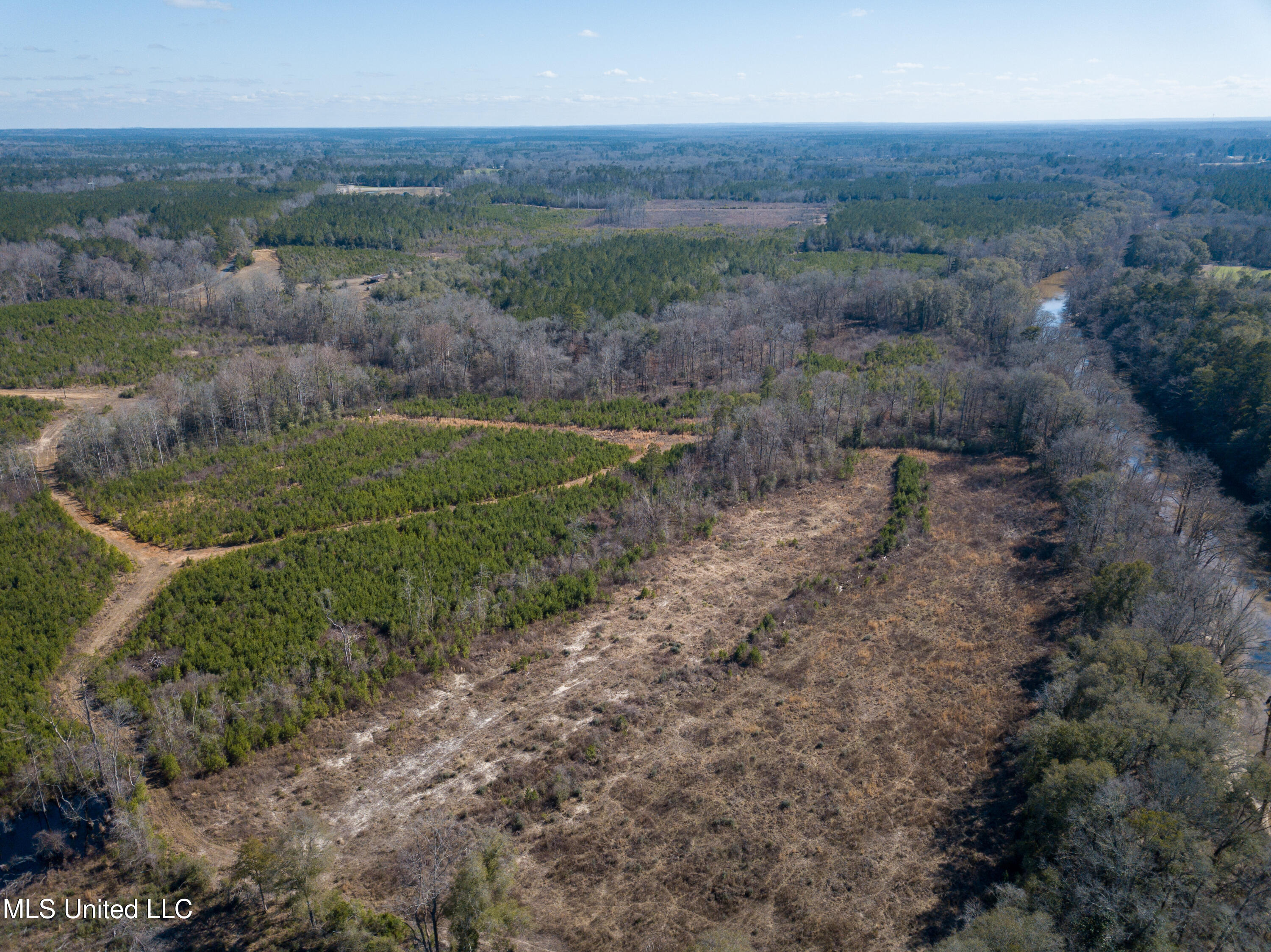 1621 Cr 111, Shubuta, Mississippi image 19