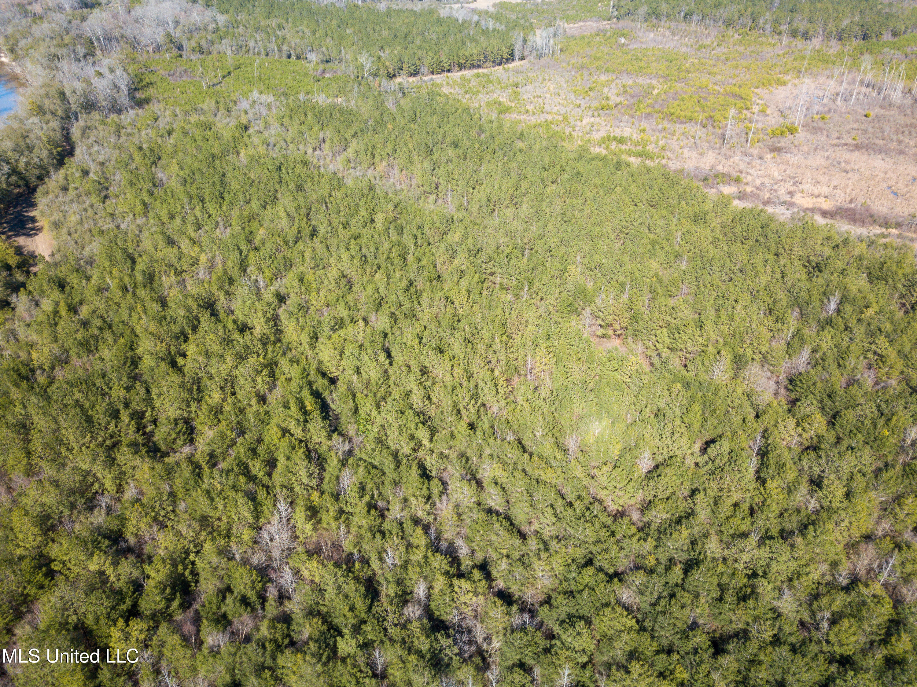 1621 Cr 111, Shubuta, Mississippi image 37