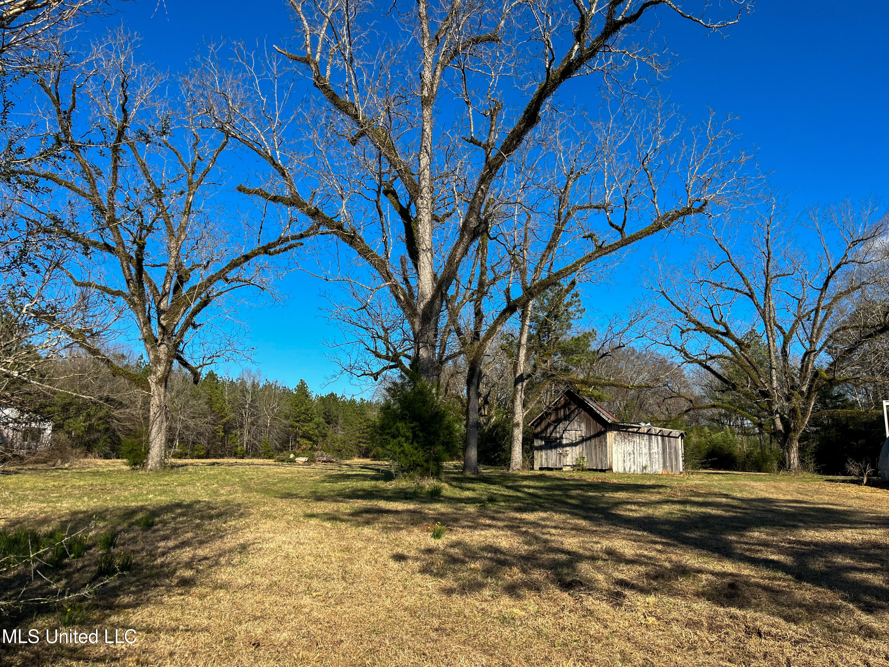 1621 Cr 111, Shubuta, Mississippi image 17