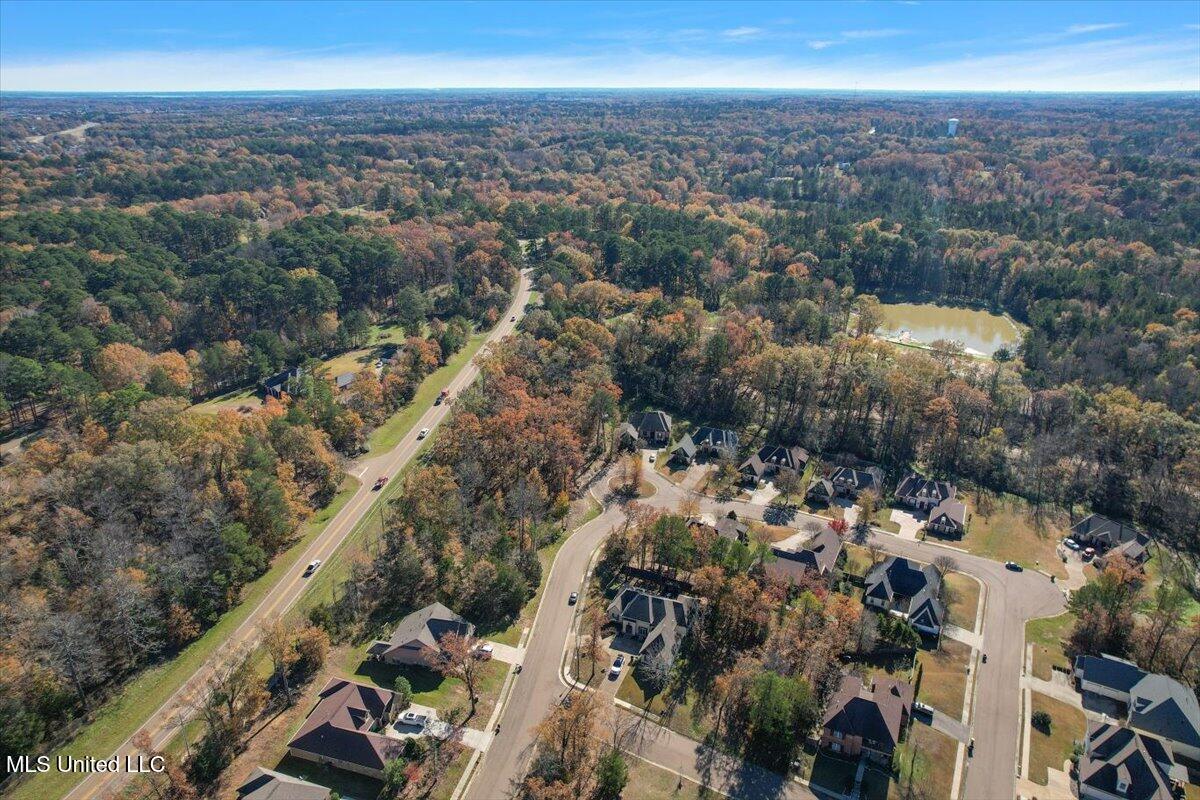 Wind Dance Drive, Lot 24, Madison, Mississippi image 7