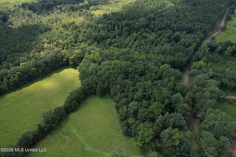 Vacant Land For Sale - County Road 2251<br/> Kosciusko, MS 39090