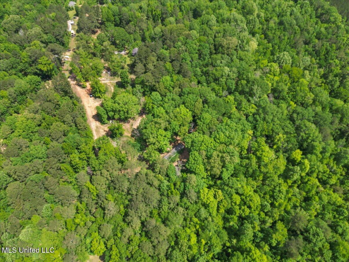 510 Jared Drive, Brandon, Mississippi image 3