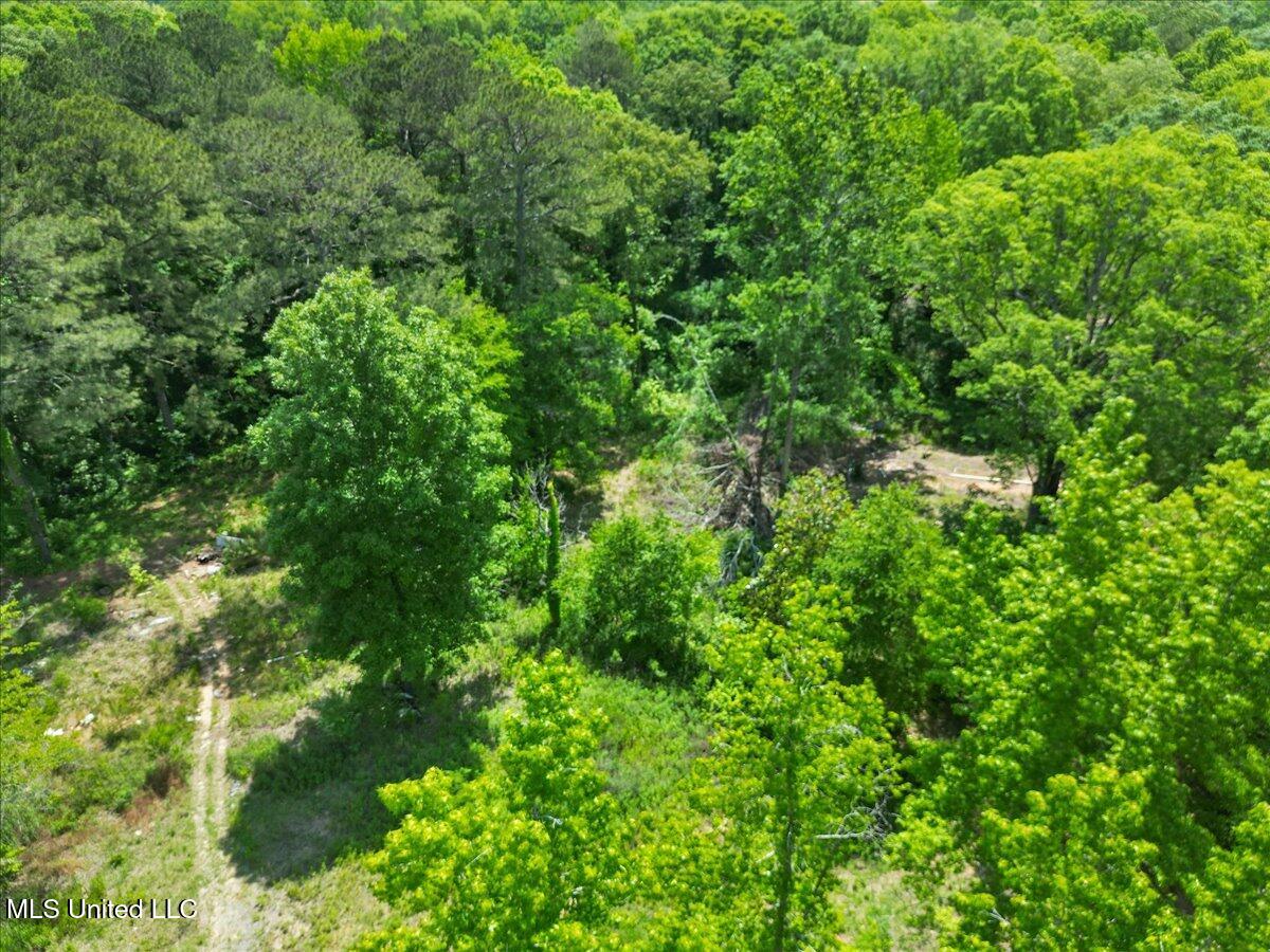 510 Jared Drive, Brandon, Mississippi image 11