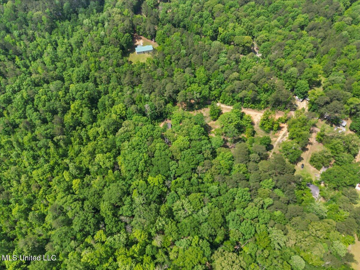 510 Jared Drive, Brandon, Mississippi image 5