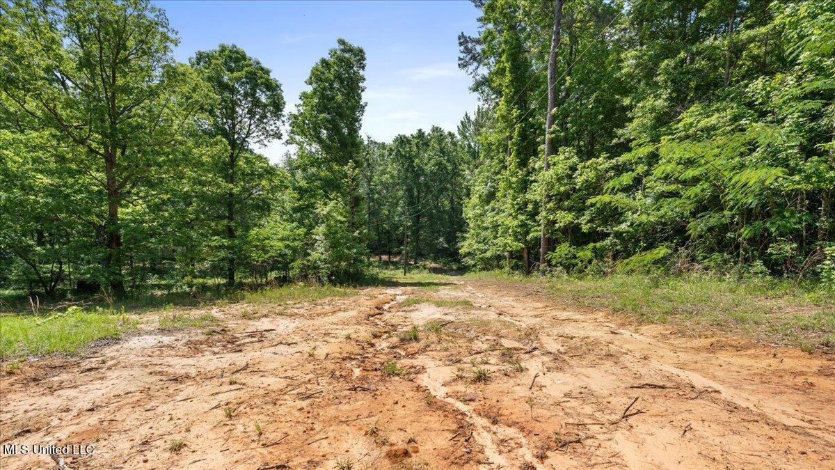 510 Jared Drive, Brandon, Mississippi image 14