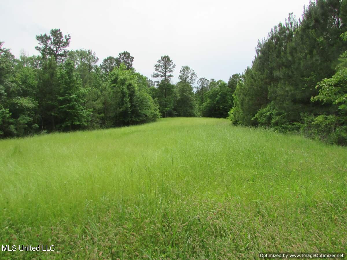 Lot 2 Permenter Road, Canton, Mississippi image 2