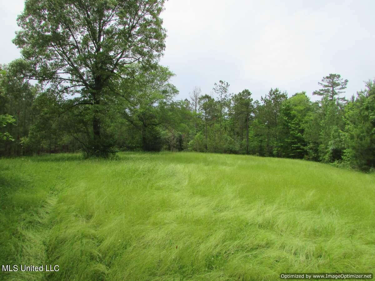 Lot 2 Permenter Road, Canton, Mississippi image 9